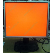 Монитор 19" TFT HP 1955 (DVI в Кемерово, USB-хаб) "квадратный" (Кемерово)