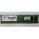 Модуль оперативной памяти 4Gb DDR2 Patriot PSD24G8002 pc-6400 (800MHz)  (Кемерово)