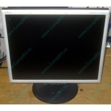 Монитор 17" TFT Nec MultiSync LCD 1770NX (Кемерово)
