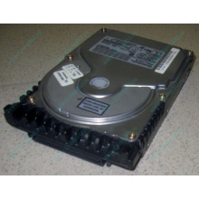 Жесткий диск 18.4Gb Quantum Atlas 10K III U160 SCSI (Кемерово)