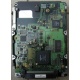 Жесткий диск 18.4Gb Quantum Atlas 10K III U160 SCSI (Кемерово)