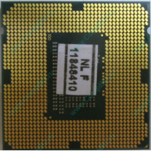 Процессор Intel Pentium G2010 (2x2.8GHz /L3 3072kb) SR10J s.1155 (Кемерово)