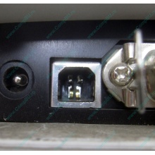 Термопринтер Zebra TLP 2844 (выломан USB разъём в Кемерово, COM и LPT на месте; без БП!) - Кемерово