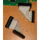 6017B0045701 Шлейф 24pin для Intel C74974-401 T0043401-B01 корпуса SR2400 (Кемерово)