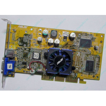 Видеокарта 64Mb nVidia GeForce4 MX440 AGP (Asus V8170DDR) - Кемерово