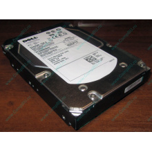 Жесткий диск 300Gb 15k Dell 9CH066-050 6G SAS (Seagate Cheetach ST3300656SS 15K.6) - Кемерово
