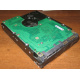 Жесткий диск 300Gb 15k Seagate Cheetach ST3300656SS 15K.6 Dell 9CH066-050 6G SAS (Кемерово)